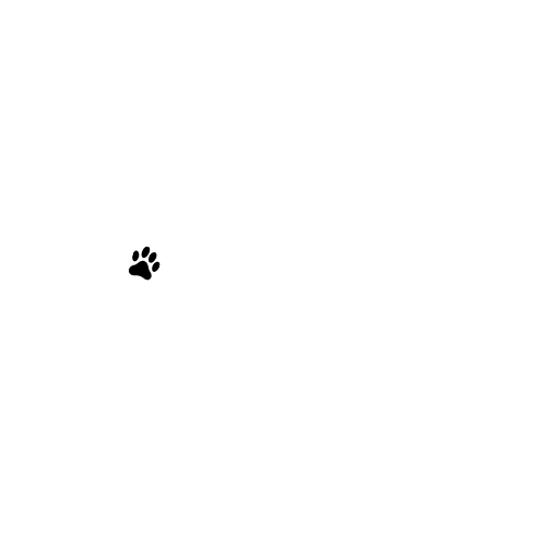 Urban Paw