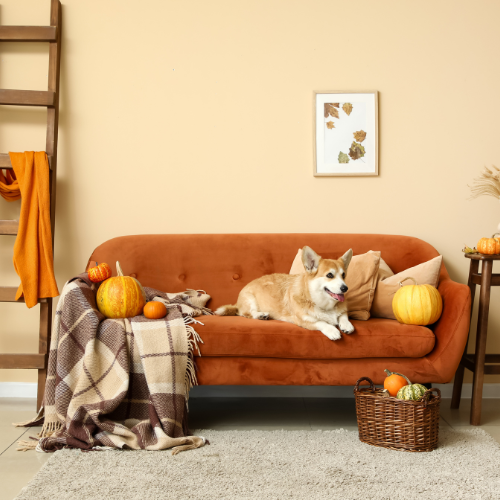 Puppy resting on a soft neutral blanket